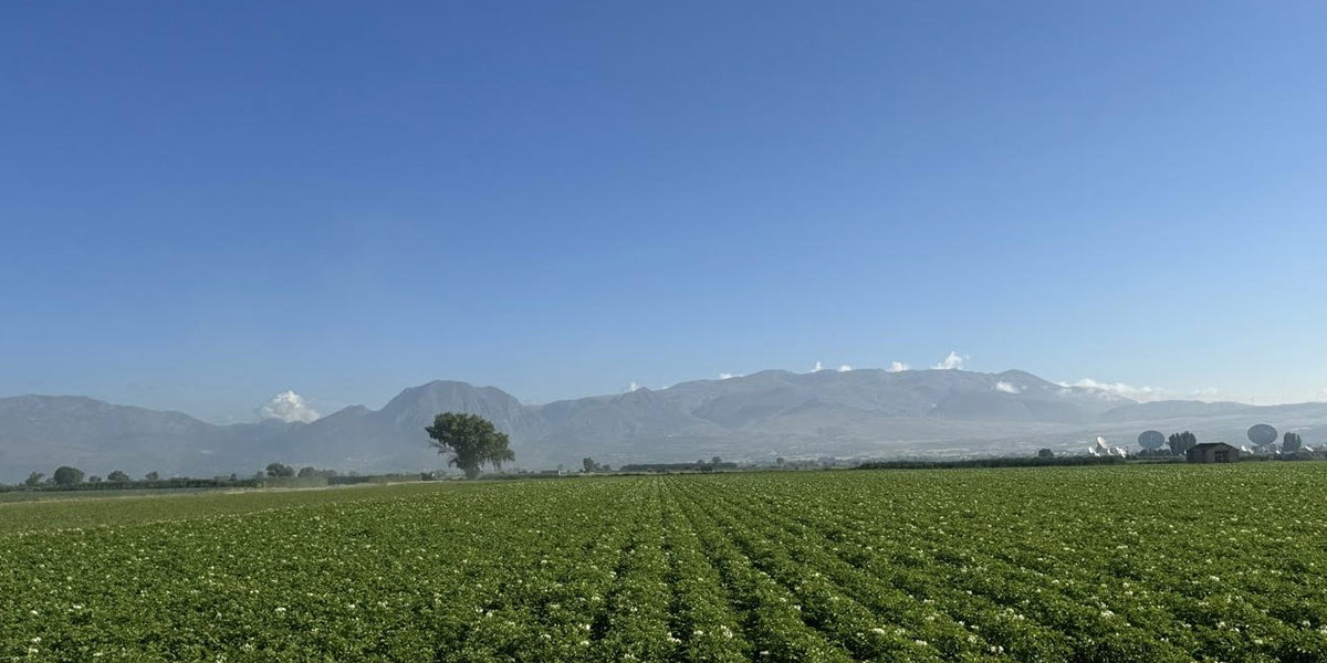Ruggiero, al via la raccolta delle Patate del Fucino Igp